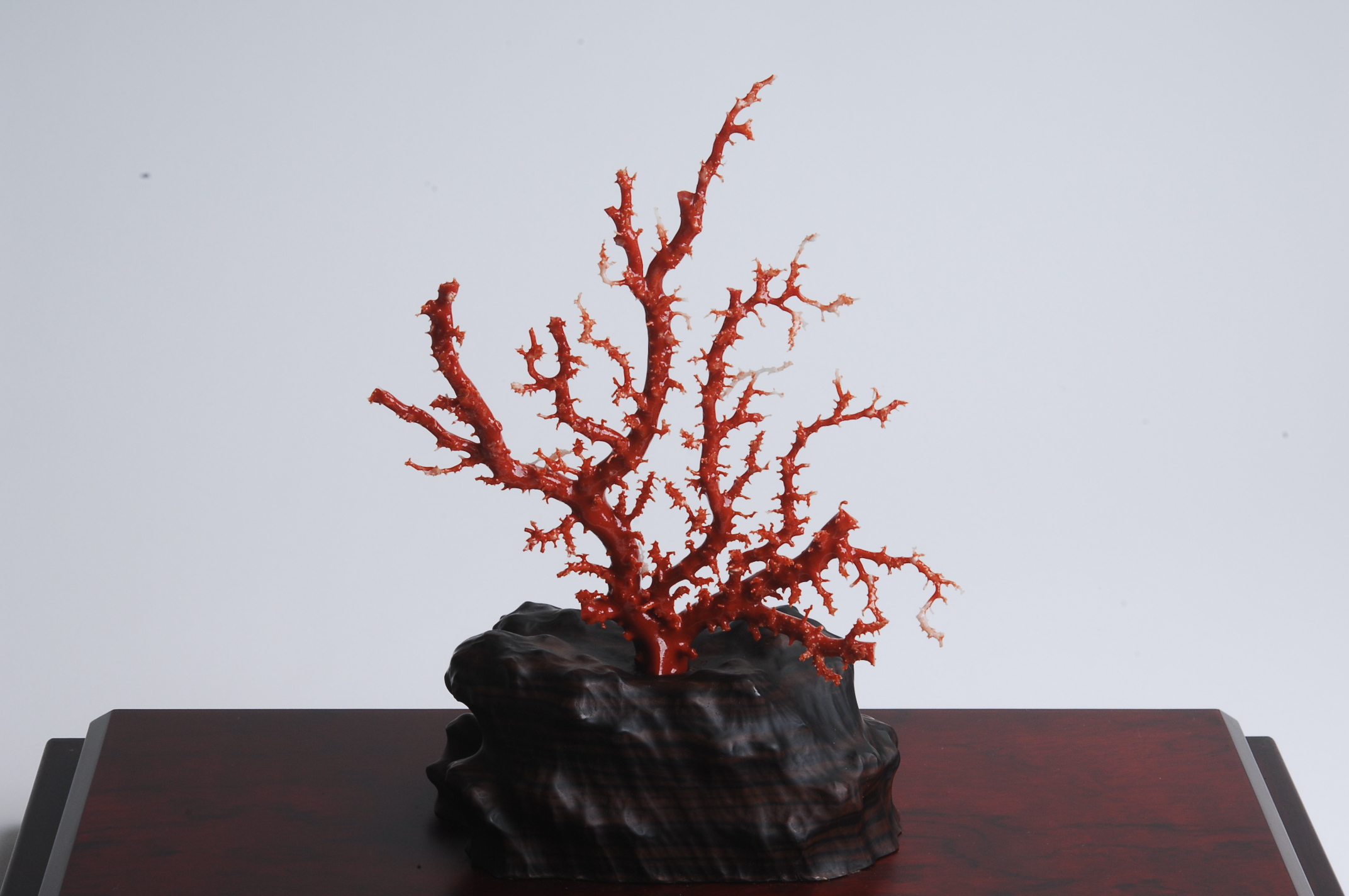 血赤珊瑚置物