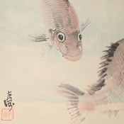 中村左洲　鯛の絵　掛軸