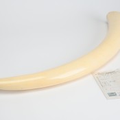 象牙の買取古美術久田　象牙